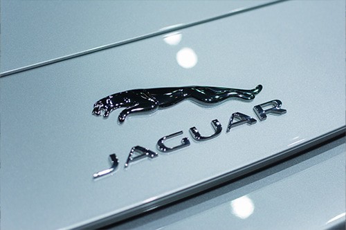 Jaguar emblem on display